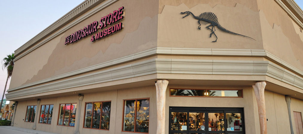 dinosaur stores near me