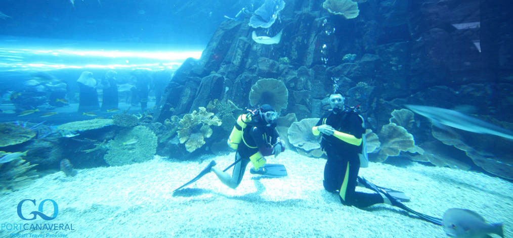 two scuba divers in big aquarium with fishes