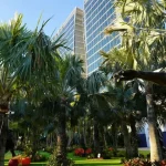 tall hotel towers behind palm trees in lake nona sculpture garden